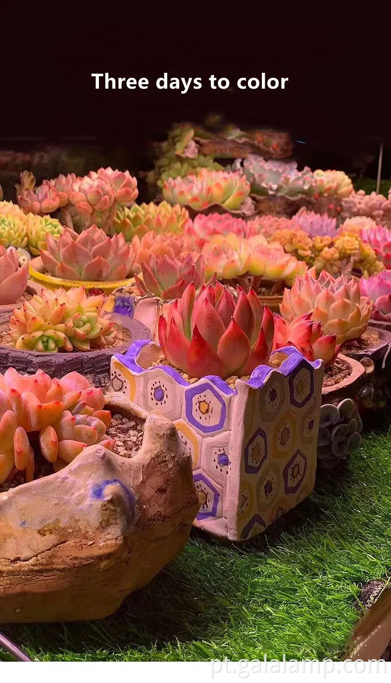 LED de espectro completo avançado cresce luz com timer e escurecimento